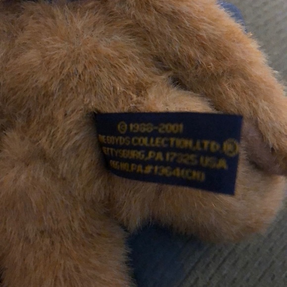 Boyd’s Bear - Picture 5 of 5